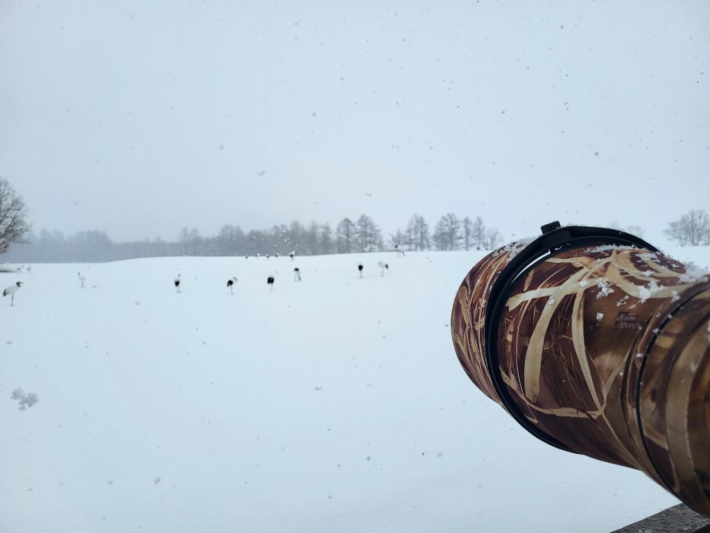 Kranich-Fotografie in Tsurui, Hokkaido, Japan